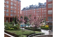 Residencial Paseo de los Olmos. In gated community