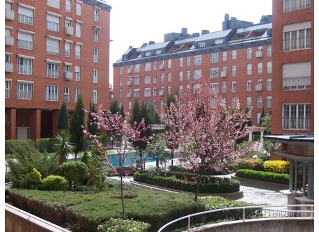 Residencial Paseo de los Olmos. In gated community