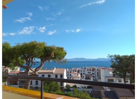 View from the terrace