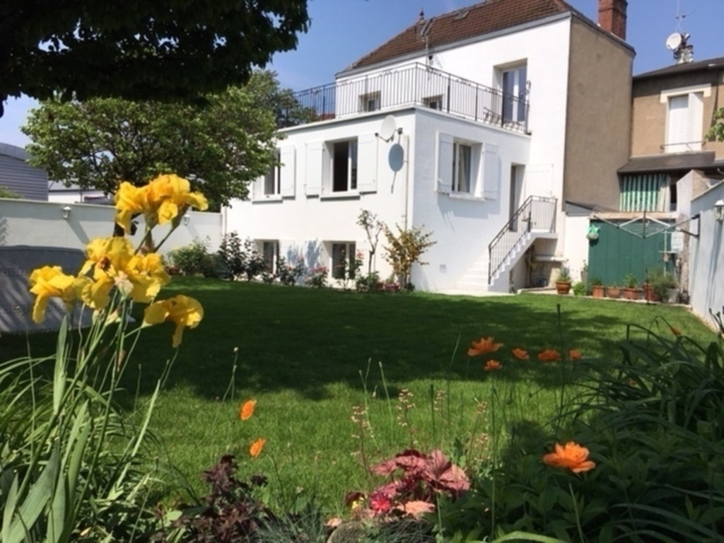 the garden behind the house