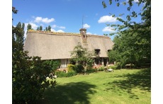 The house and the back garden at summer time