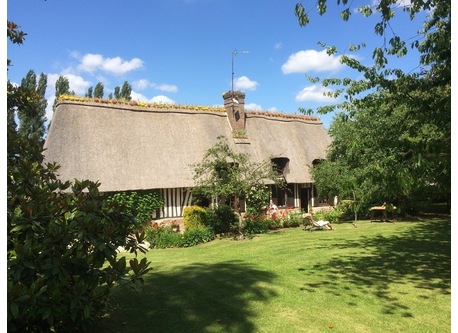 The house and the back garden at summer time