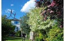House from garden
