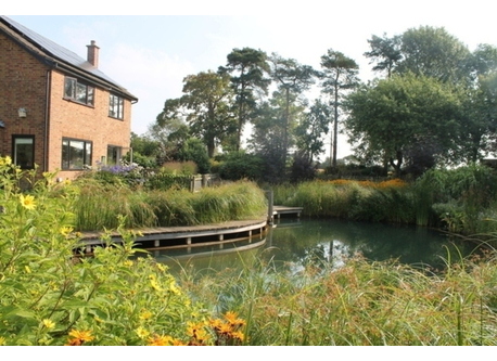 Nature filled rural idyll; large house and garden