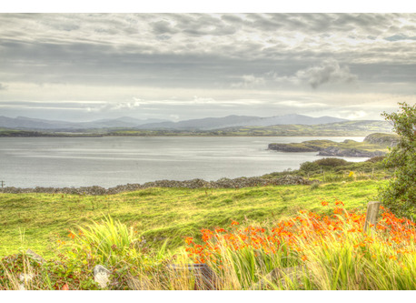 View from the Donegal cottage 