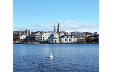From Reykjavík pond