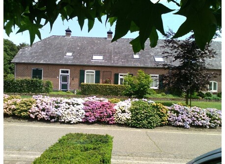 `Front of our house