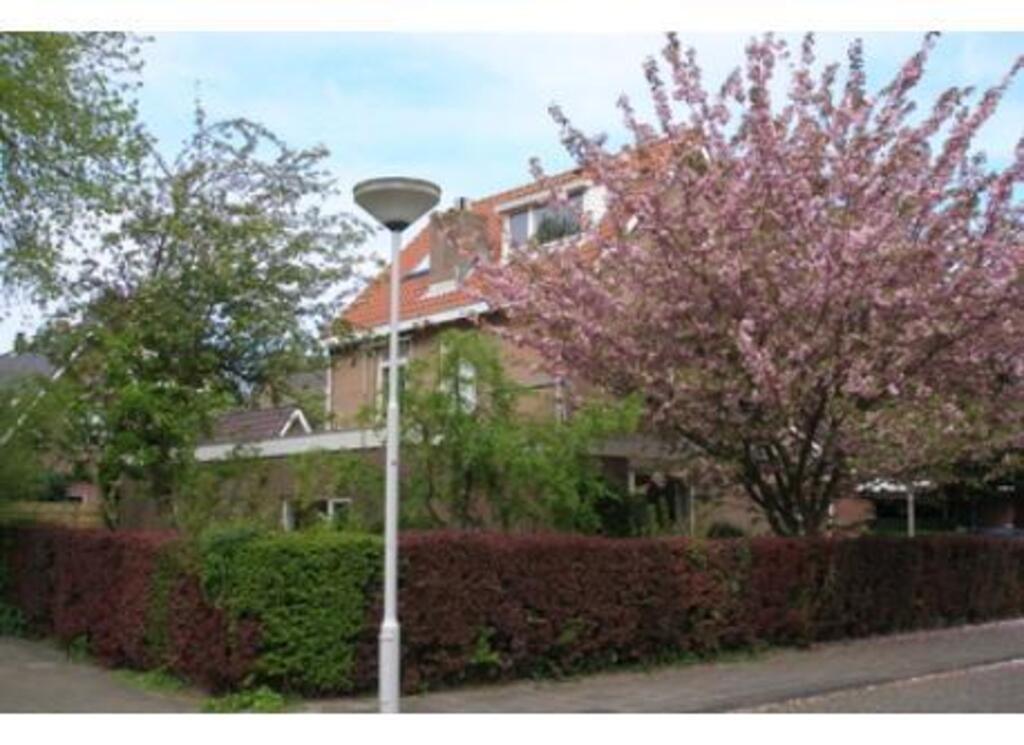 The house in spring, on a corner in a quiet neighbourhood near the town centre, the beach  and a large grassy play field.