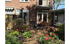 Springtime in Amsterdam