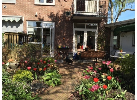 Springtime in Amsterdam