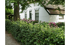 Voormalig boerderijtje uit 1876