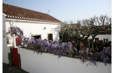 House Outside View