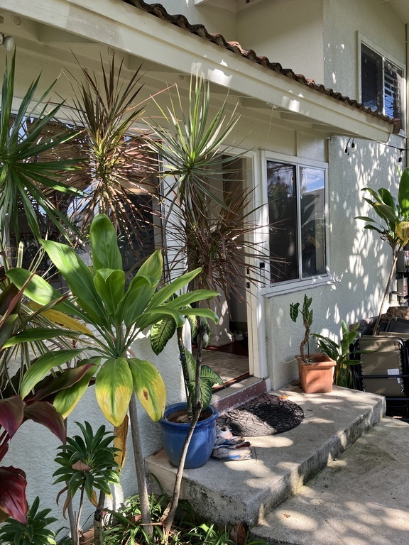 Downstairs entrance to our house