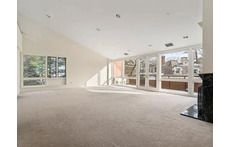 Living/Dining room with balcony overlooking "The Castle" and Jamaica Pond