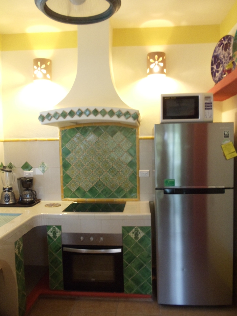 Beautiful kitchen with induction cooking for the inspired chef.  