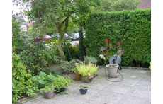 garden