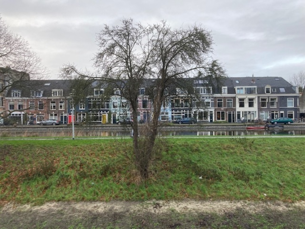 View from our house on a winter's day