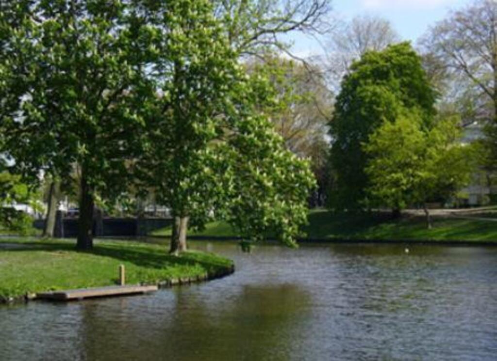 View on the park from back of our house.
