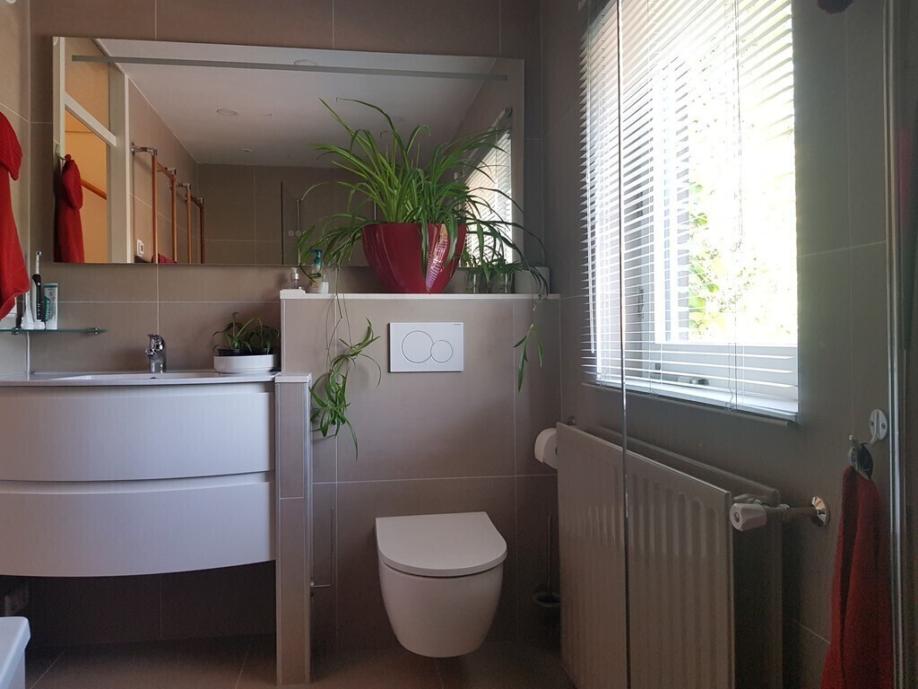 bathroom with the second toilet on the first floor