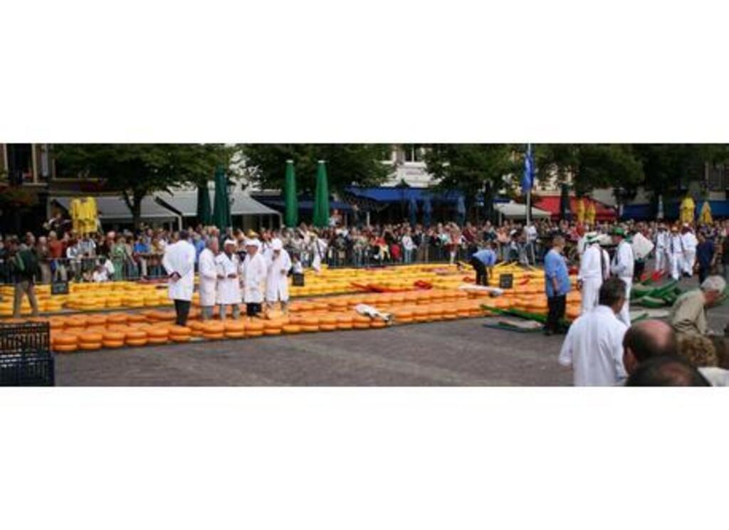 Alkmaar cheese market 
