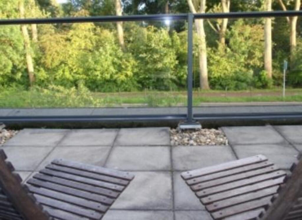 the roof terrace with panoramic view of high trees. Now also a square foot vegetable and herb garden.