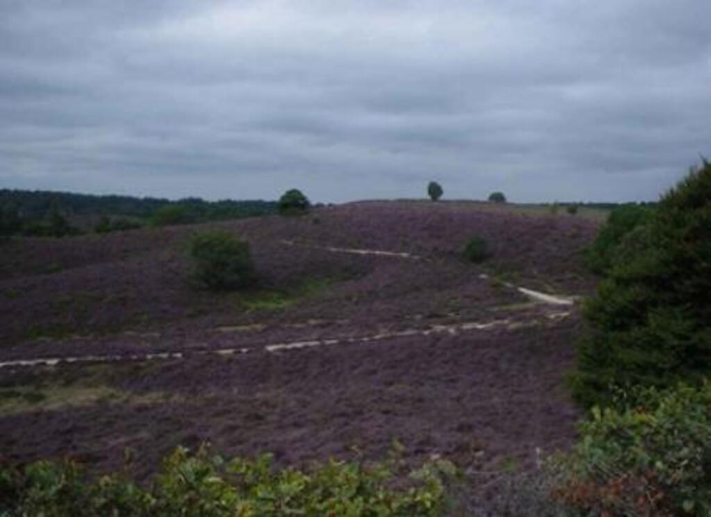 Hiking and Biking at Posbank National Park