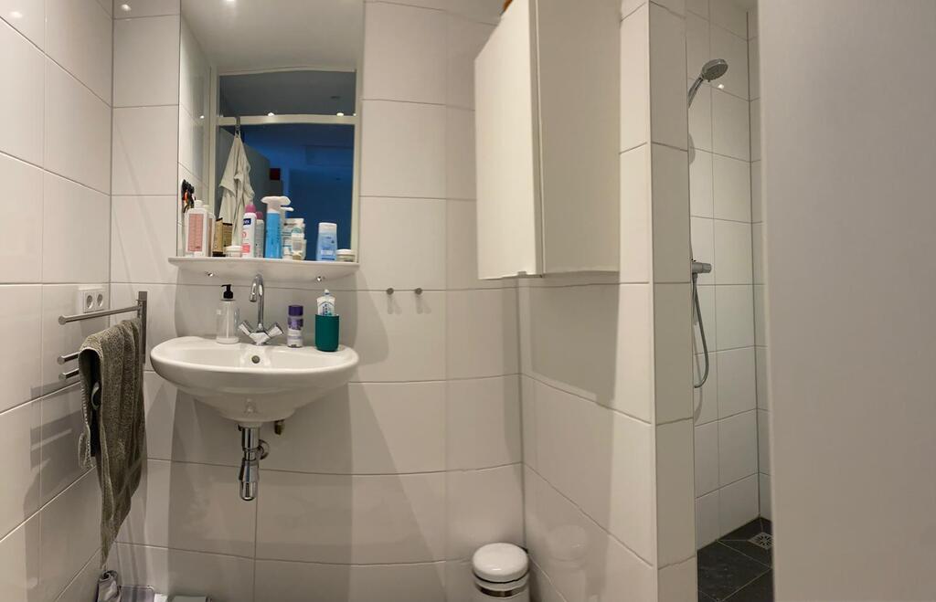 Our second bathroom with shower, on the second floor/attic.