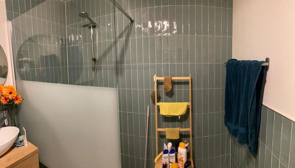 Shower in the bathroom on the first floor.