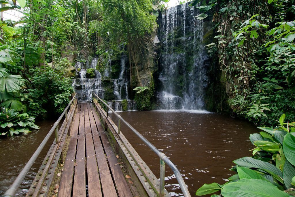 One of the most praised zoo's in Europ, Burgers Zoo. A large variety of animals and also a Bush, Dessert, Ocean and much more.