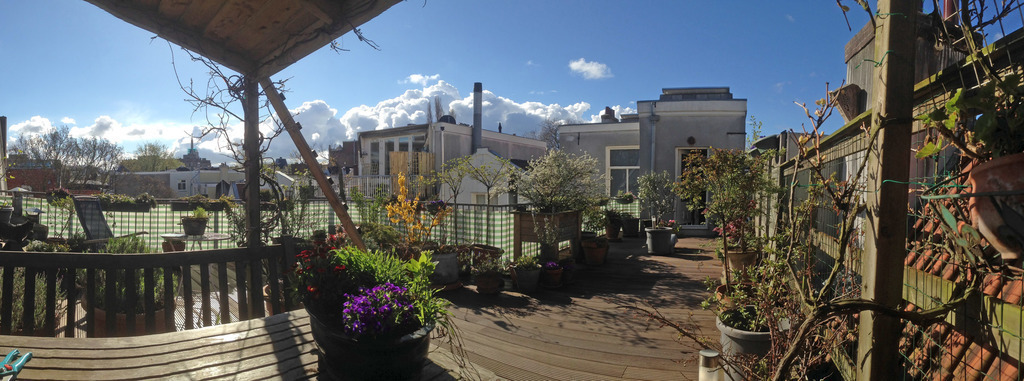 Roof garden -- the place to be!