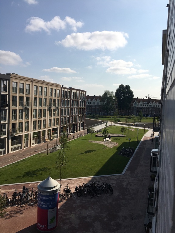 The park before the house