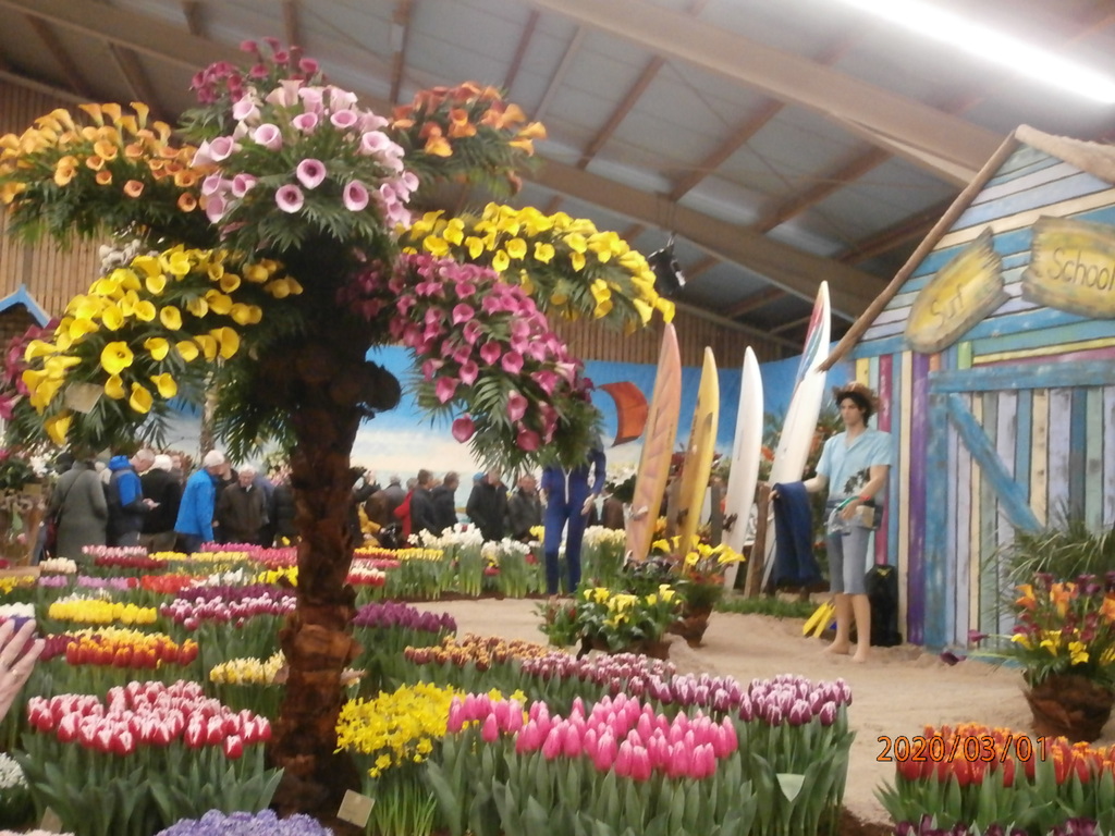 Springgarden 2020, Breezand