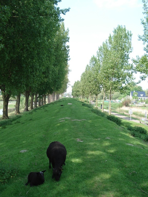 Backyard, defence line of Amsterdam