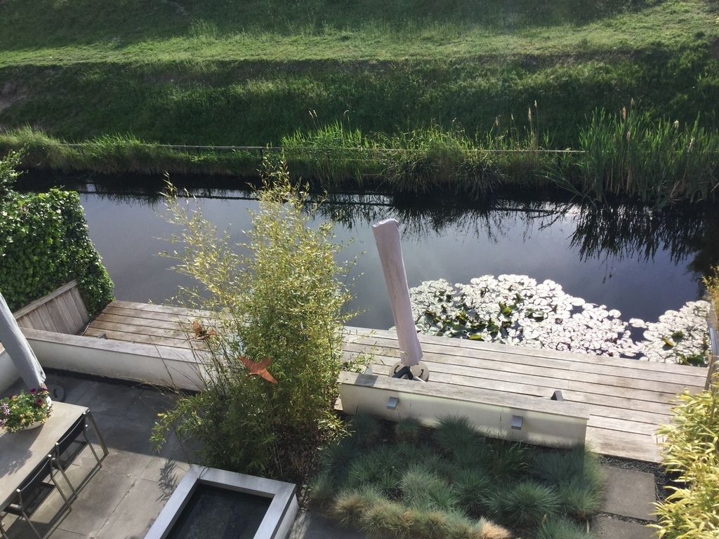 Backyard with deck om waterside