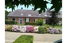 `Front of our house