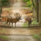 Veluwe