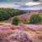 Veluwe