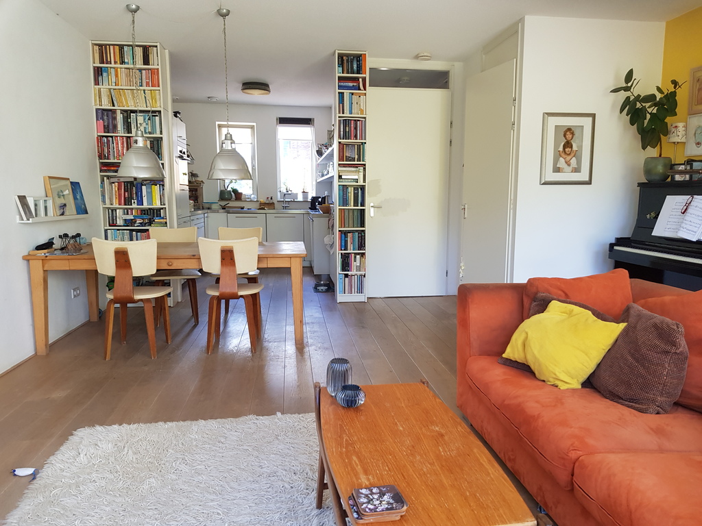 Living room and kitchen