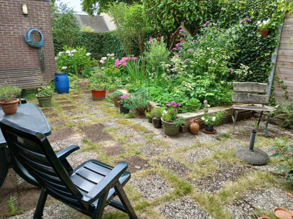 Back yard, facing southwest