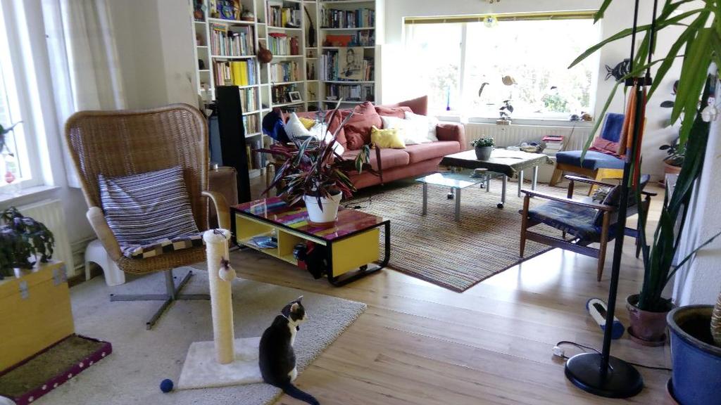 Central part of the living room