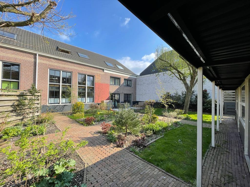 our garden on the back of the house