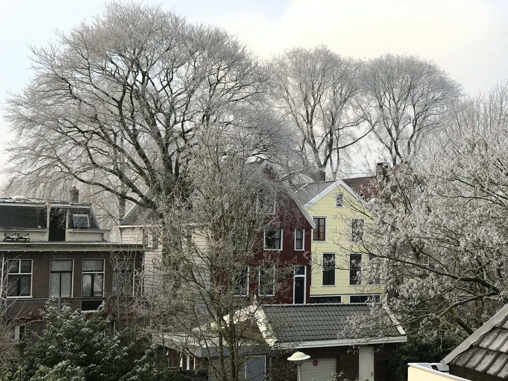 view from our house towards the 'Nieuwendammerdijk'