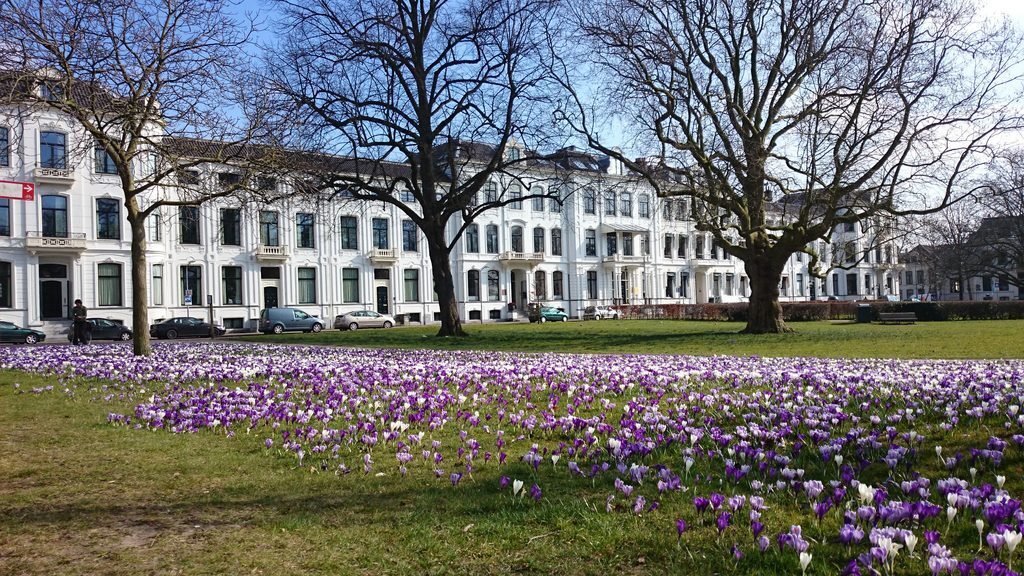 Kenau Park Haarlem in spring
