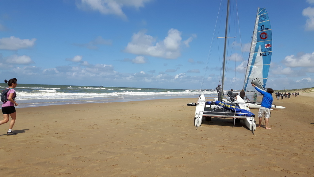 swimming, walking, sailing, surfing,etc.