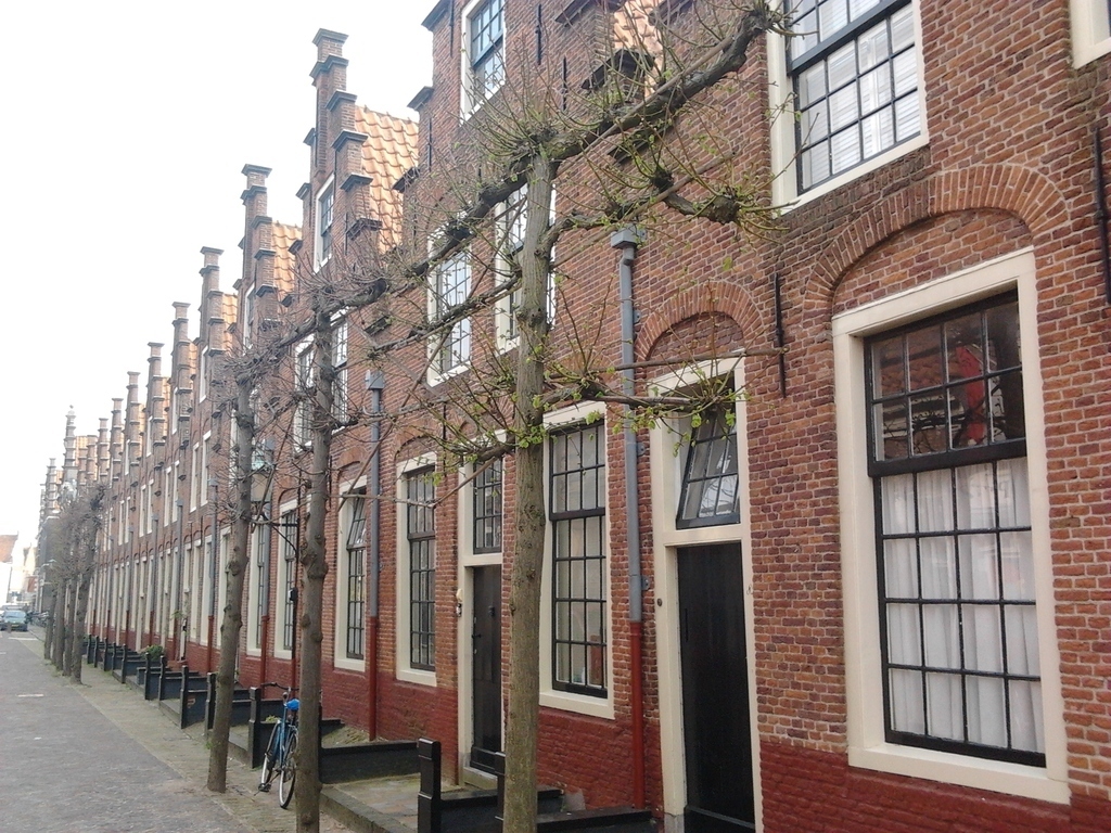 Opposite the Frans Hals Museum