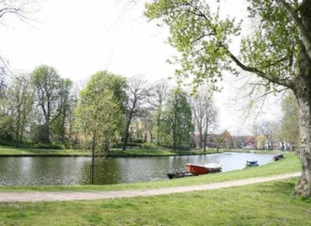 next to our street, parc in the city