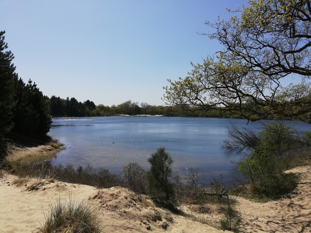 Several dune lakes for swimming