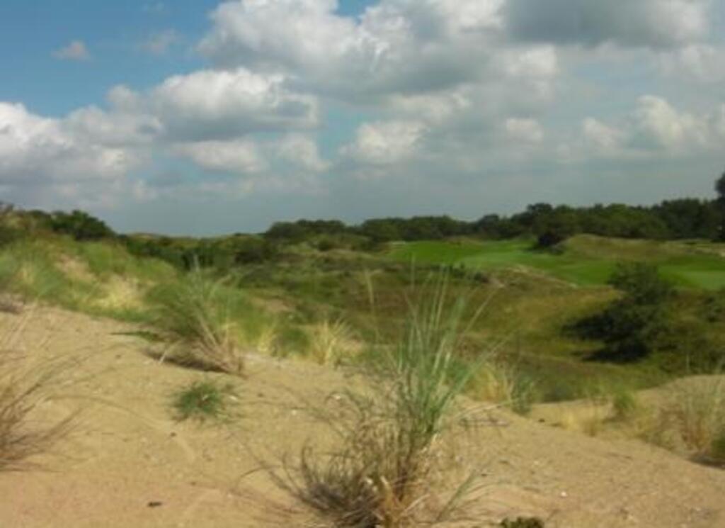 the dunes between Haarlem and the sea