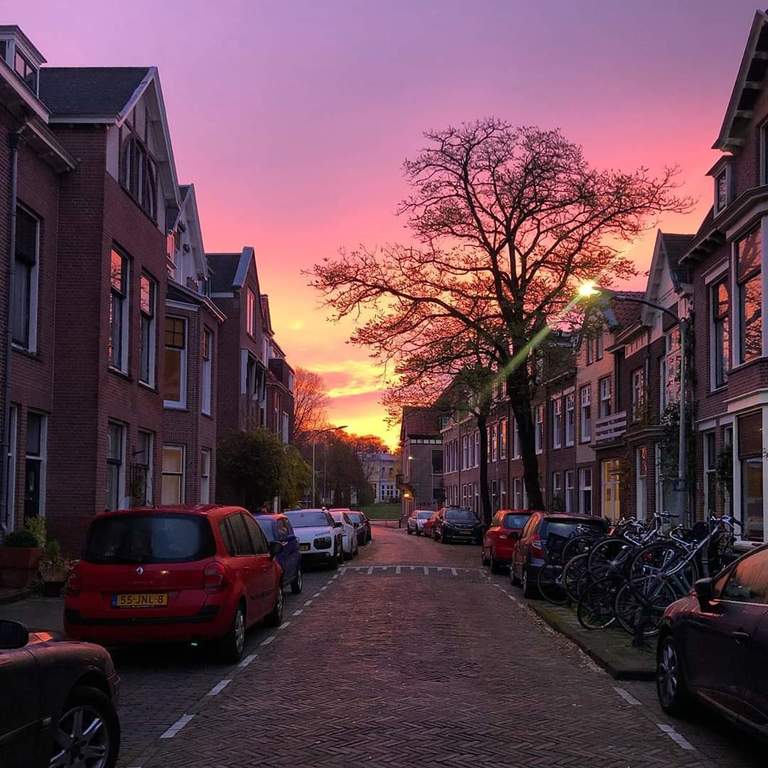 sunset in our street 