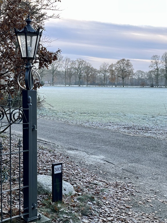 This is our view when we leave our house.